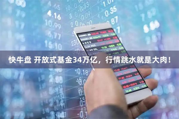 快牛盘 开放式基金34万亿，行情跳水就是大肉！