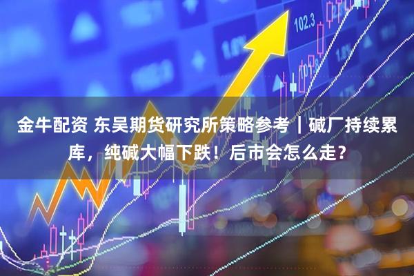 金牛配资 东吴期货研究所策略参考｜碱厂持续累库，纯碱大幅下跌！后市会怎么走？