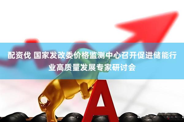 配资伐 国家发改委价格监测中心召开促进储能行业高质量发展专家研讨会