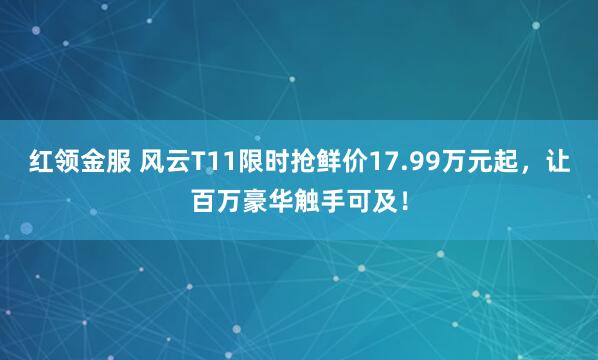 红领金服 风云T11限时抢鲜价17.99万元起，让百万豪华触手可及！