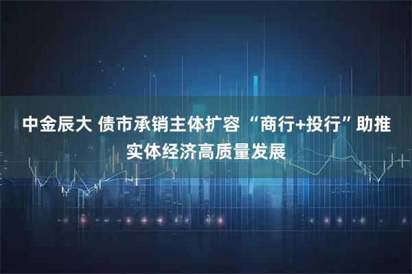 中金辰大 债市承销主体扩容 “商行+投行”助推实体经济高质量发展