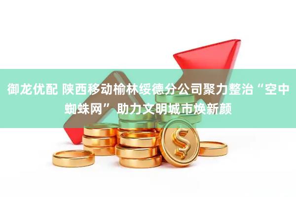 御龙优配 陕西移动榆林绥德分公司聚力整治“空中蜘蛛网” 助力文明城市焕新颜