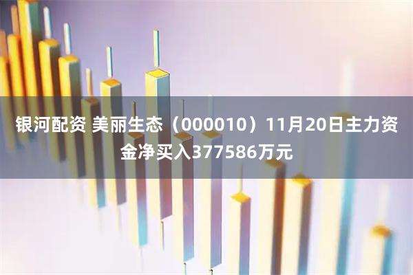 银河配资 美丽生态（000010）11月20日主力资金净买入377586万元