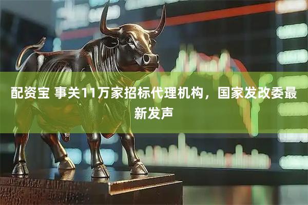 配资宝 事关11万家招标代理机构，国家发改委最新发声