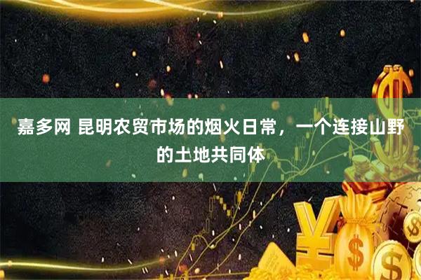 嘉多网 昆明农贸市场的烟火日常，一个连接山野的土地共同体