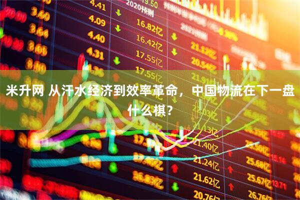米升网 从汗水经济到效率革命，中国物流在下一盘什么棋？