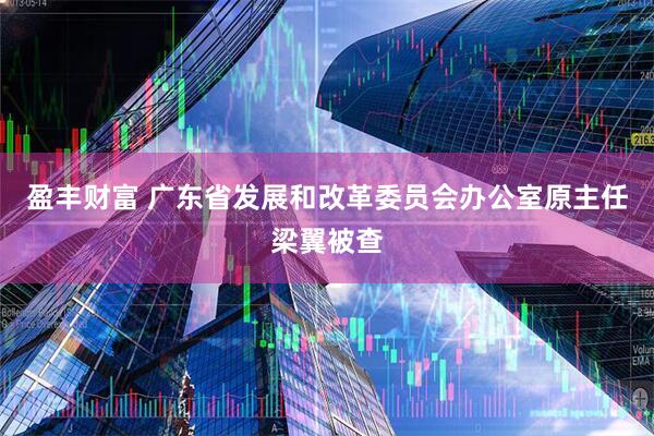盈丰财富 广东省发展和改革委员会办公室原主任梁翼被查